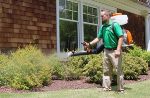 Tick, Flea, and Mosquito Control Services | Home and Outdoor | NY